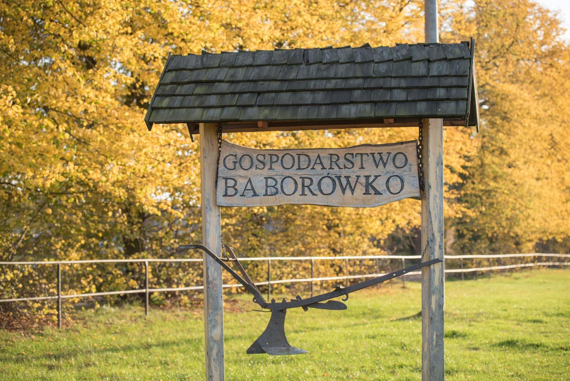 Palac Baborowko Шамотули Екстер'єр фото